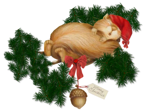 tube de noel